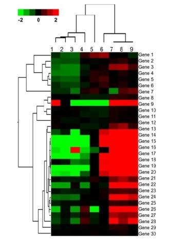 Heatmap generated from microarray. Rebecca C. Fry. Systems Biology in Toxicology and Environmental Health, Chapter 4 (Kindle Location 1954). Elsevier Inc.