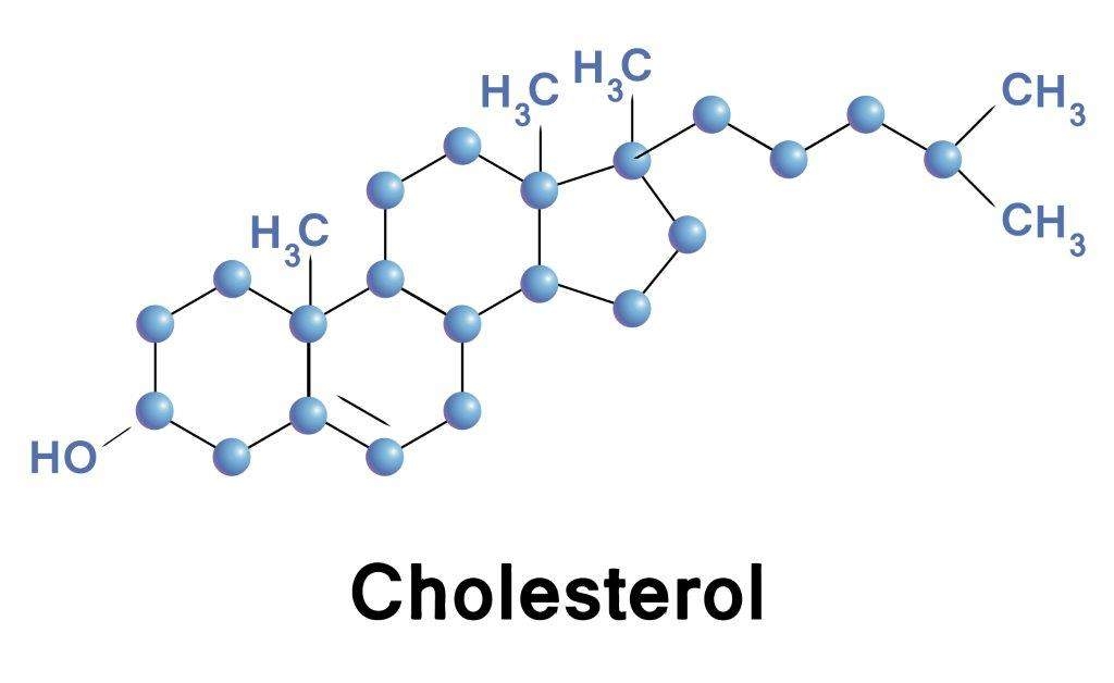Малюнок 10. будова холестерину