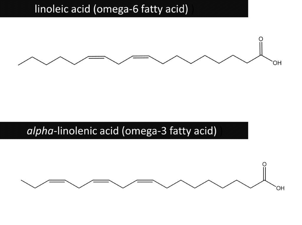 Figure 8. Examples of essential fatty acids