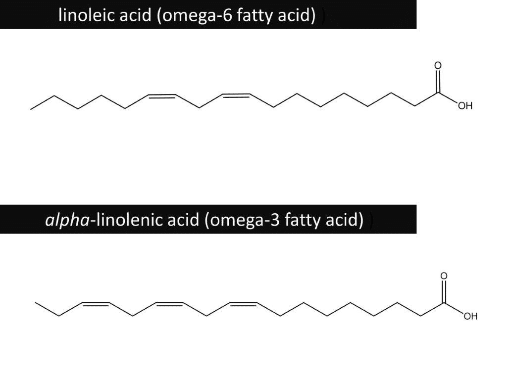 Малюнок 8. Приклади незамінних жирних кислот