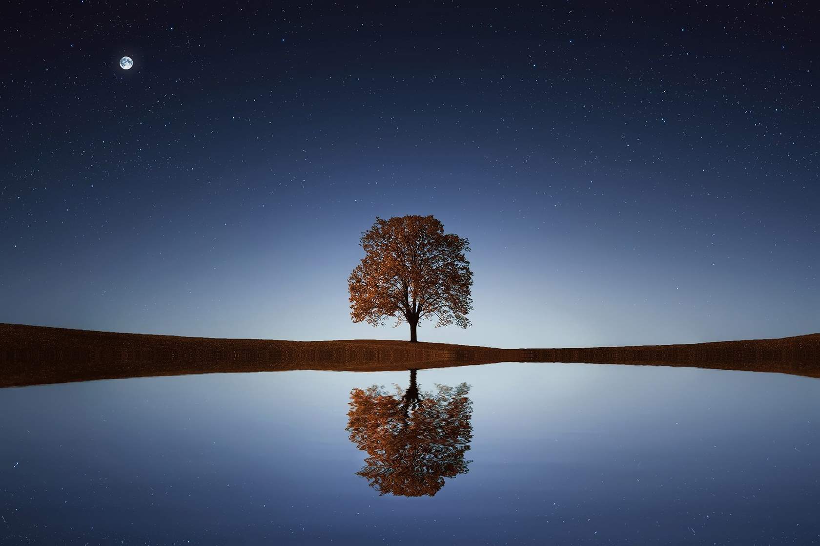Reflection
